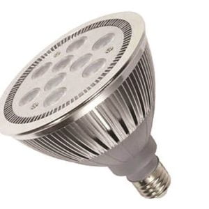 PAR38 LED Bulb